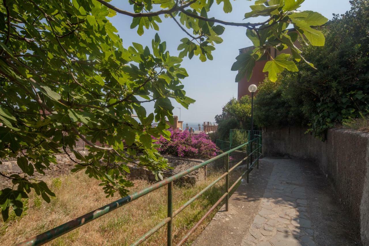 Il Geco Apartment Monterosso al Mare Exterior foto